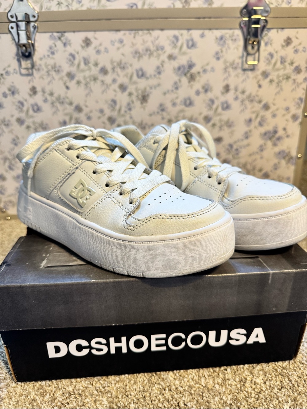 DC Platform Skate Sneakers in Oatmeal